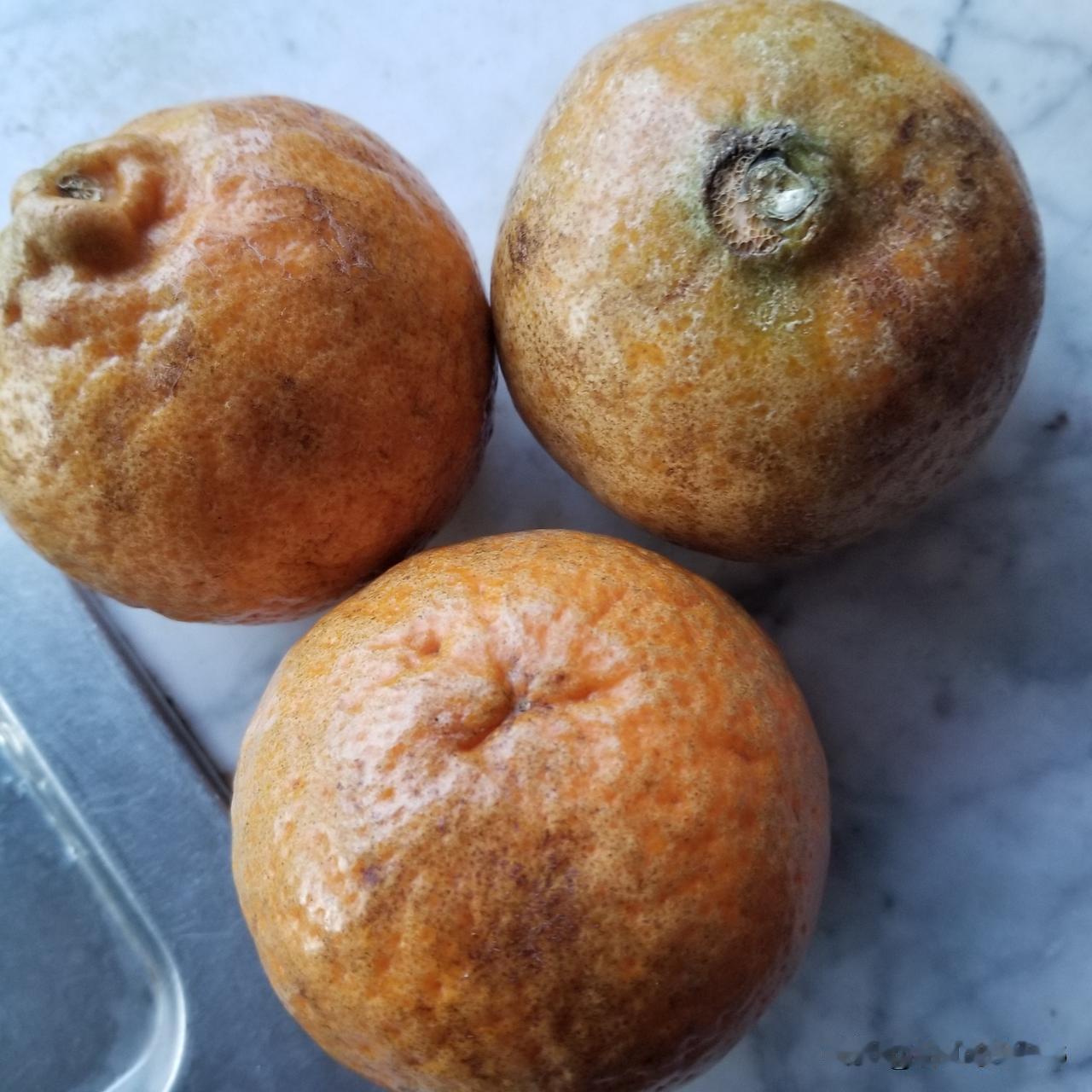 今天在网上买的沃柑，8斤半，17元8角，除了这三个，其他还可以，特别的鲜，是树上