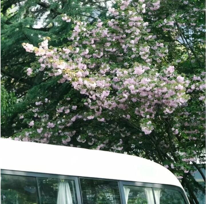 每日一善每日一善‬阳光‬‬信用 向善是一种文明，也是一种光明。善良之举，需要人人