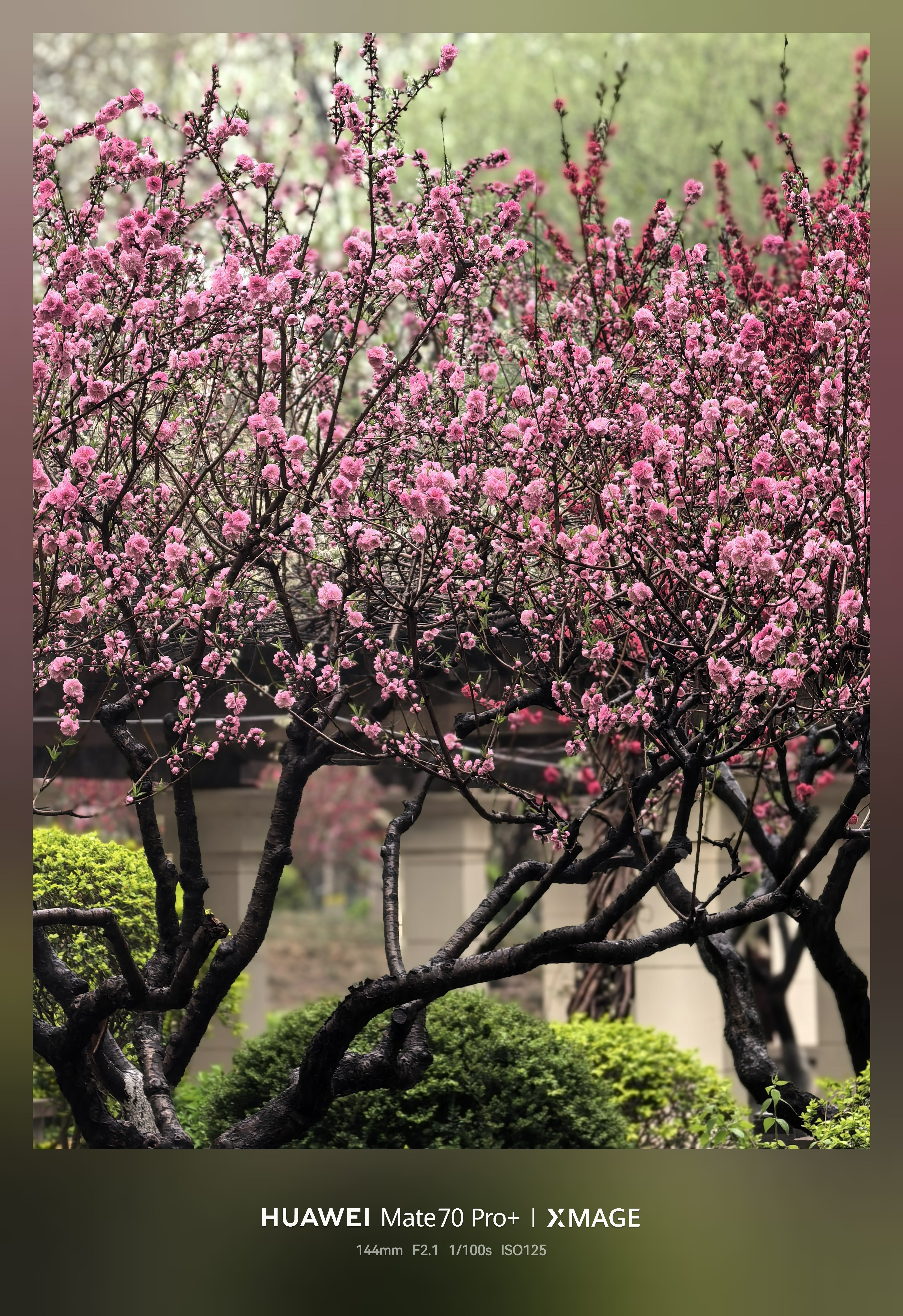 早～ 今13度下雨你受得了么，那叫一个冷🥶 