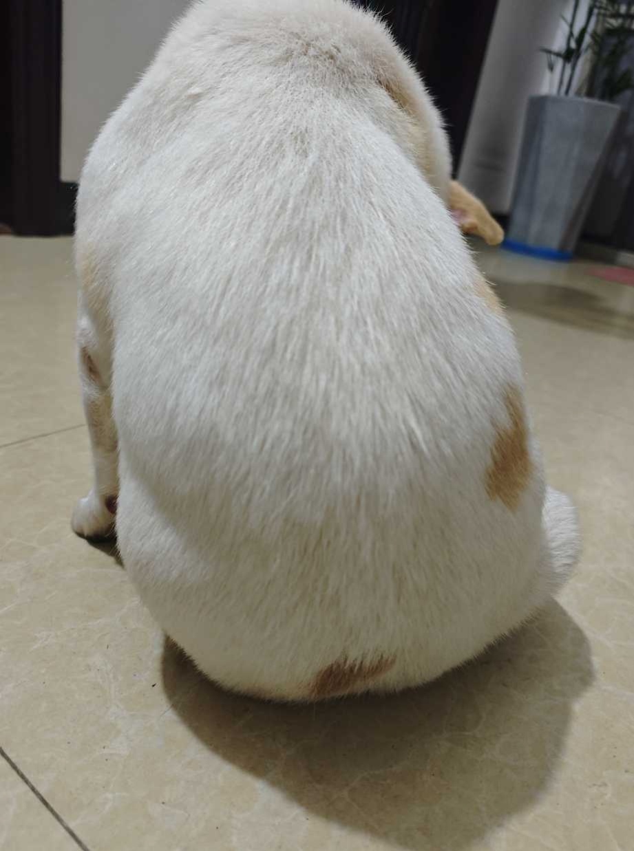 保龄球🎳 ​​​