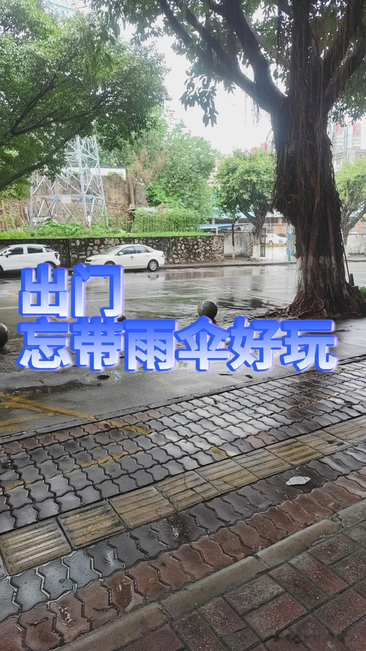 日常｜被中雨困在路口，我却突然不想赶路了
 
以为是狼狈的意外，没想到被这场雨治