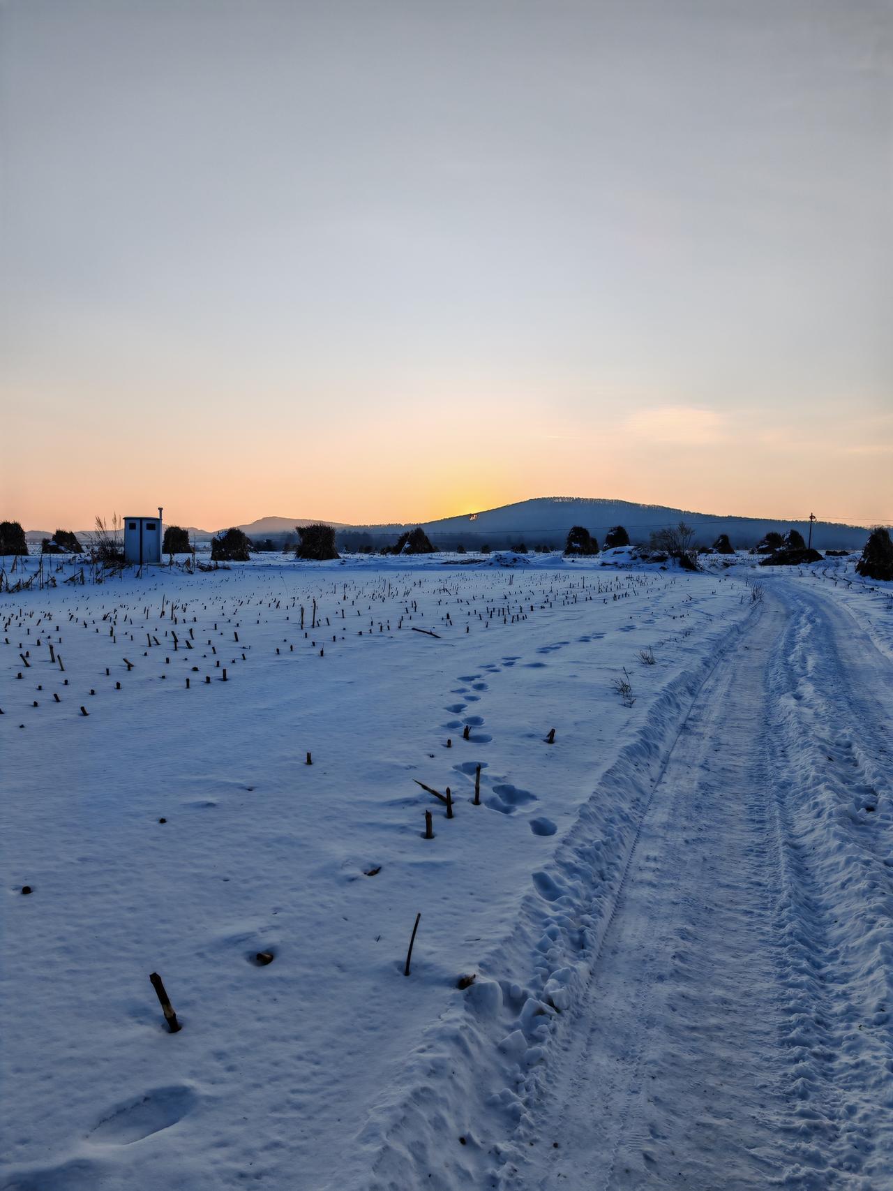 与痛风斗争的历程136
 
   晨起各关节顺畅无虞，没有丝毫刺痛与不适感。昨晚