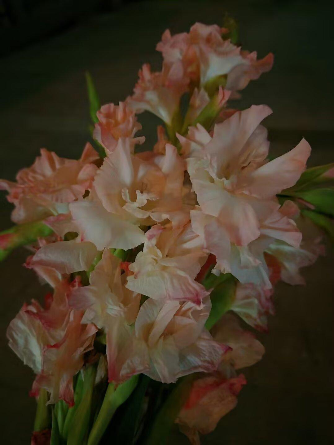 早上起来，发现右边眼睛出现眼袋了，明显右边大于左边。
专家说，睡觉时要侧着身，向