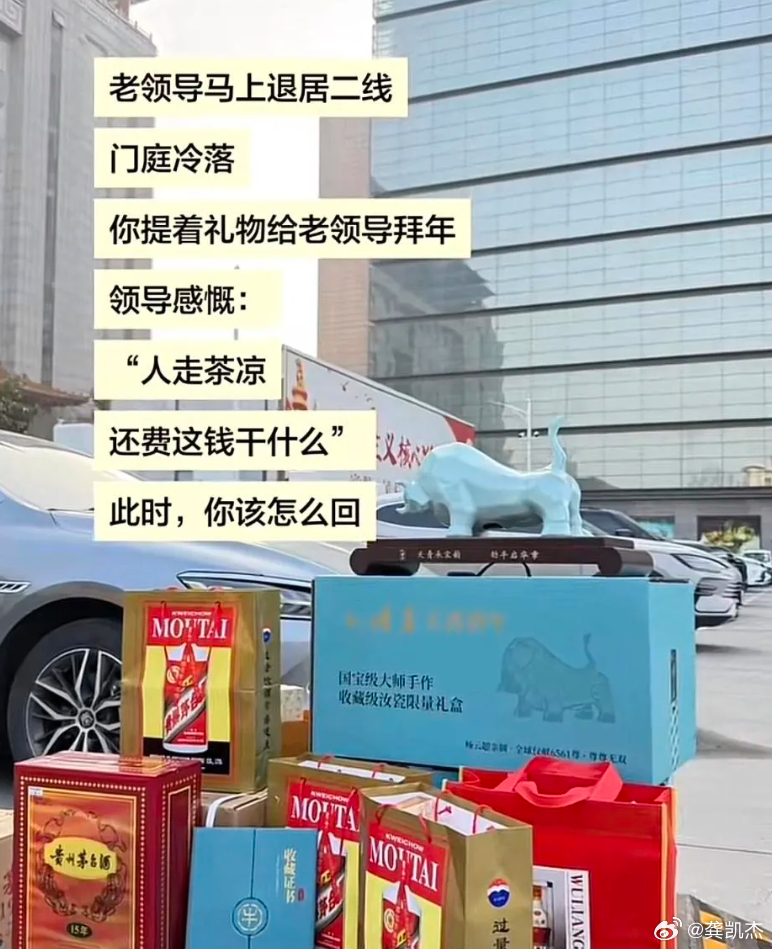 来个高手告诉我如何回复。老领导马上退居二线，门庭冷落，你提着礼物给老领导拜年。领