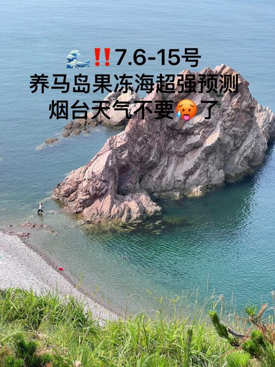 📍7.6-15号烟台养马岛果冻海超强预测
