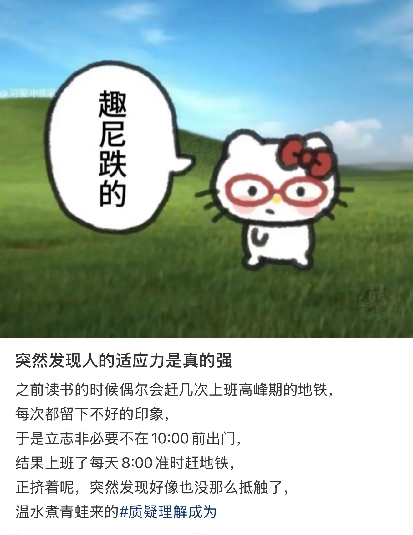 突然发现人的适应能力是真的强 