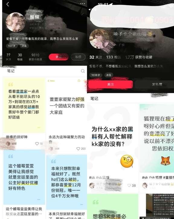 🍉 sk pph680
善如春雨，细密无声却滋养万物；善如冬阳，温和无力却融化