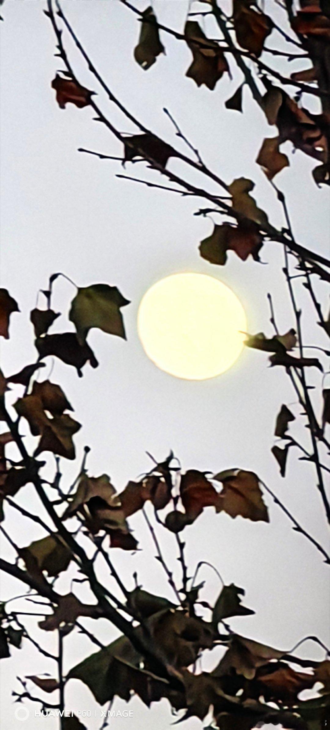 傍晚5点钟的月亮。月亮手机摄影手机摄影 北京·北京风景