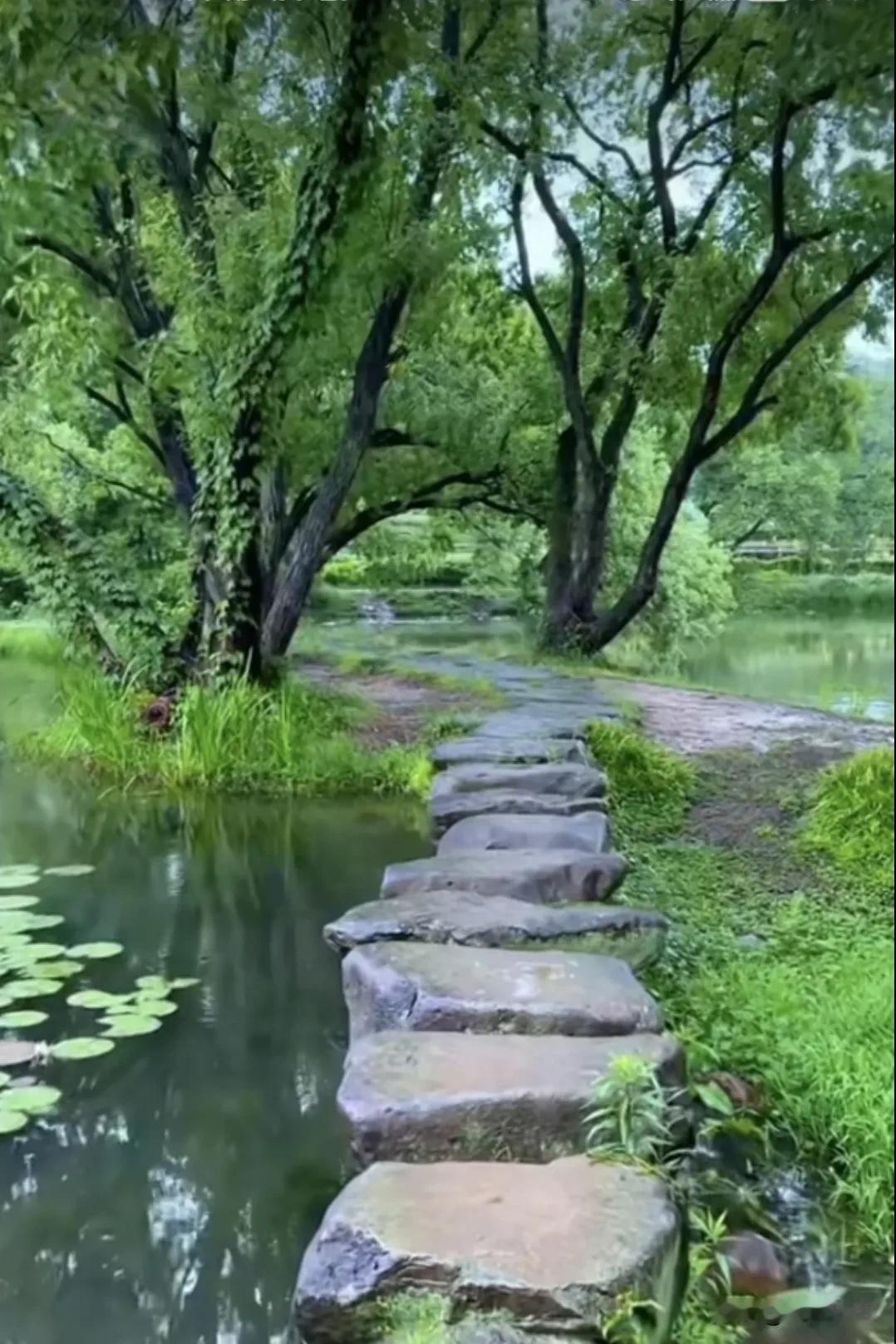 《江城子·乐度晚年》
 
平生不逐利名稠。
淡追求，少烦忧。
开心度日，
潇洒自