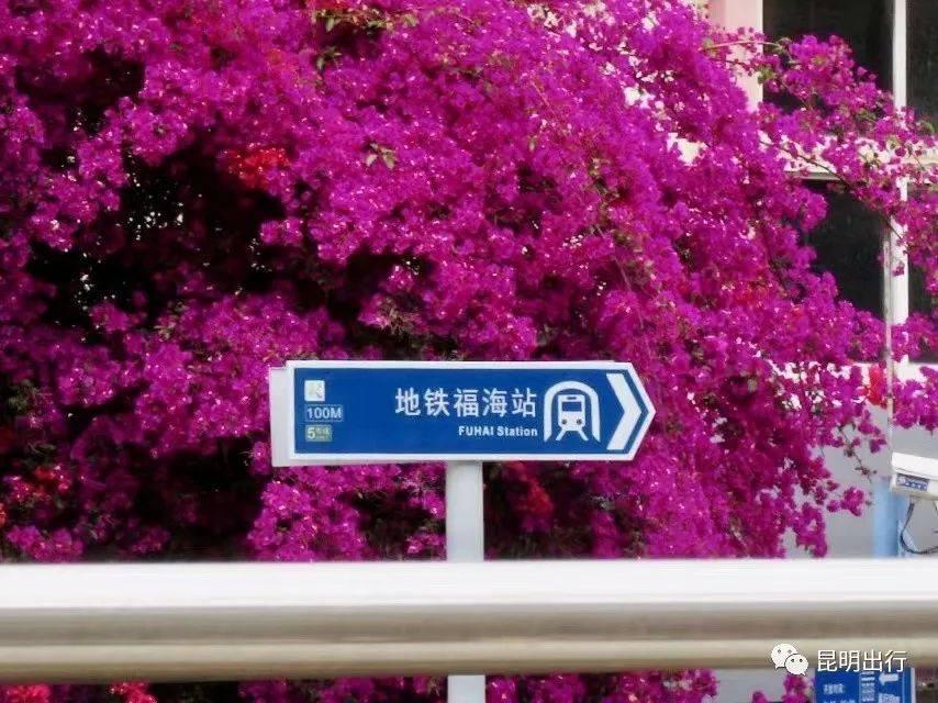 网民给昆明市委书记写建议希望加快昆明地铁福海站未开通出口尽快开通

✍➡️📥近