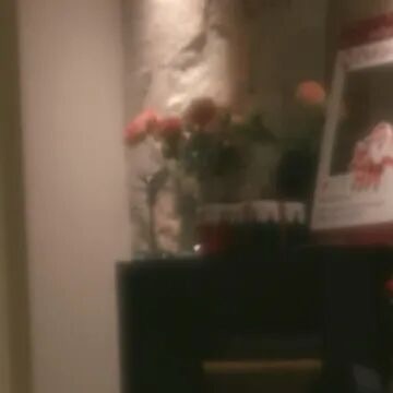 阳光信用 🍀阳光信用🍀 🍀每日一善🍀 有人在奔跑，有人在睡觉，有人在感恩