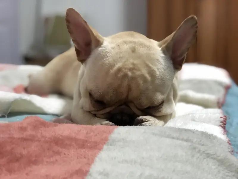 挣钱最终为了什么？答案很实在。
首先是为了踏实睡觉。卡里有余钱，父母生病、孩子学