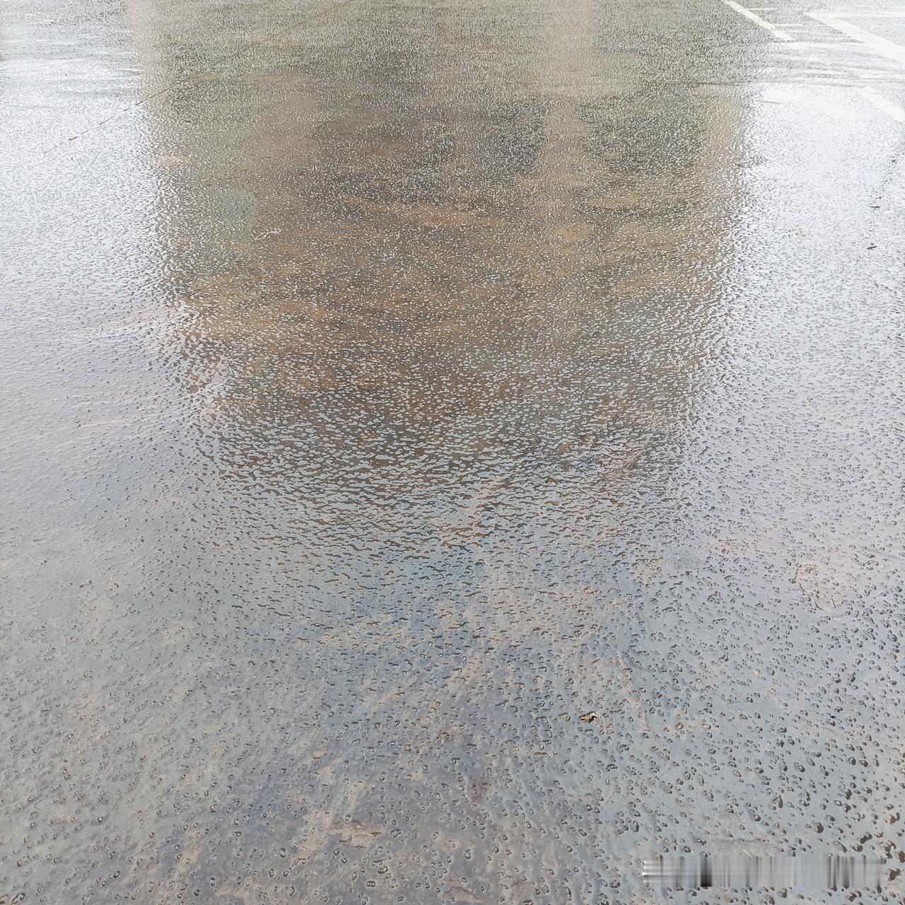 大寒至，寒意浓，今天是一年中寒气最冷的一天，气温零下一度，开始下冰雹了，办公室终