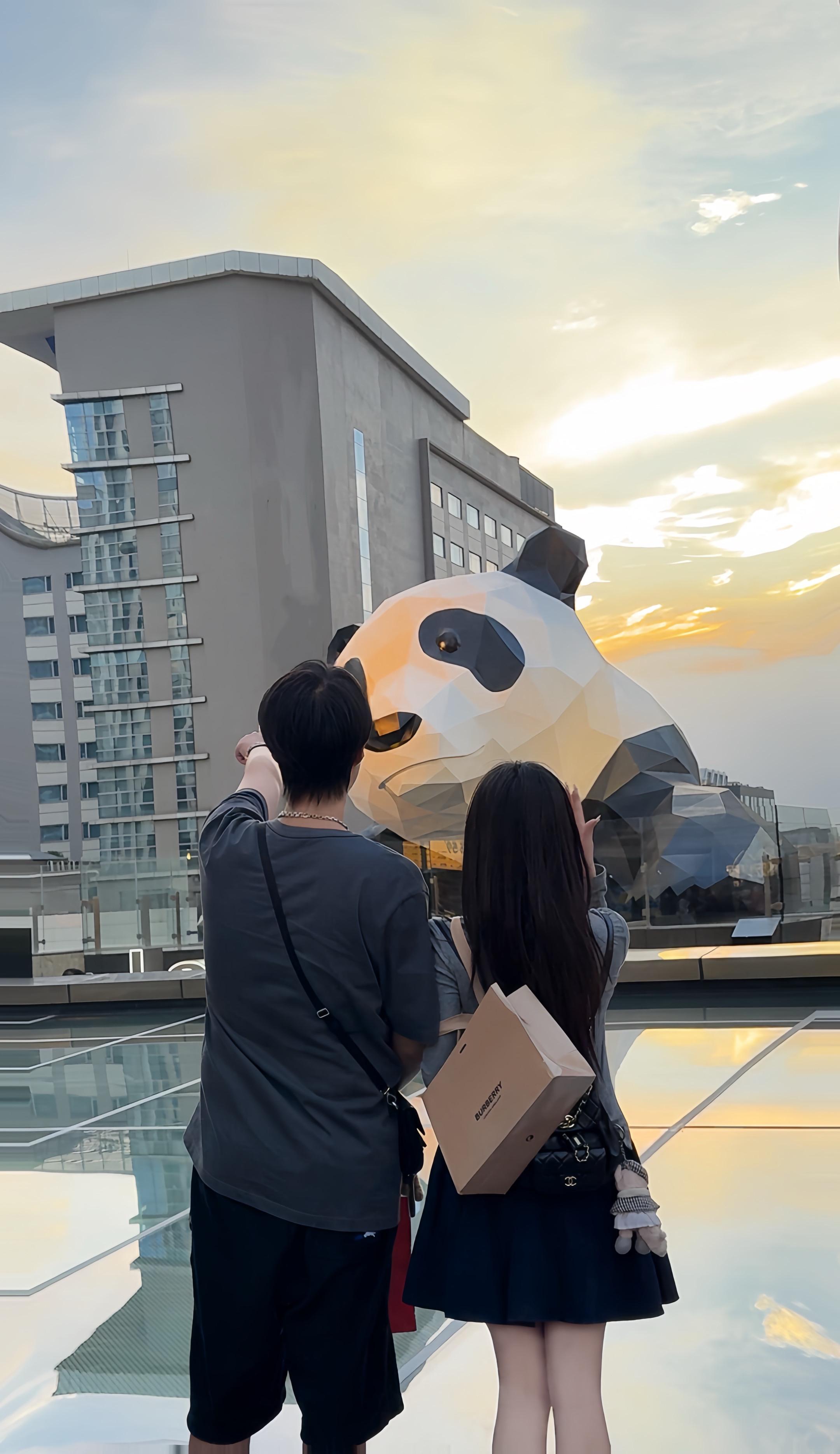 什么？这就是你带我来看的熊猫？