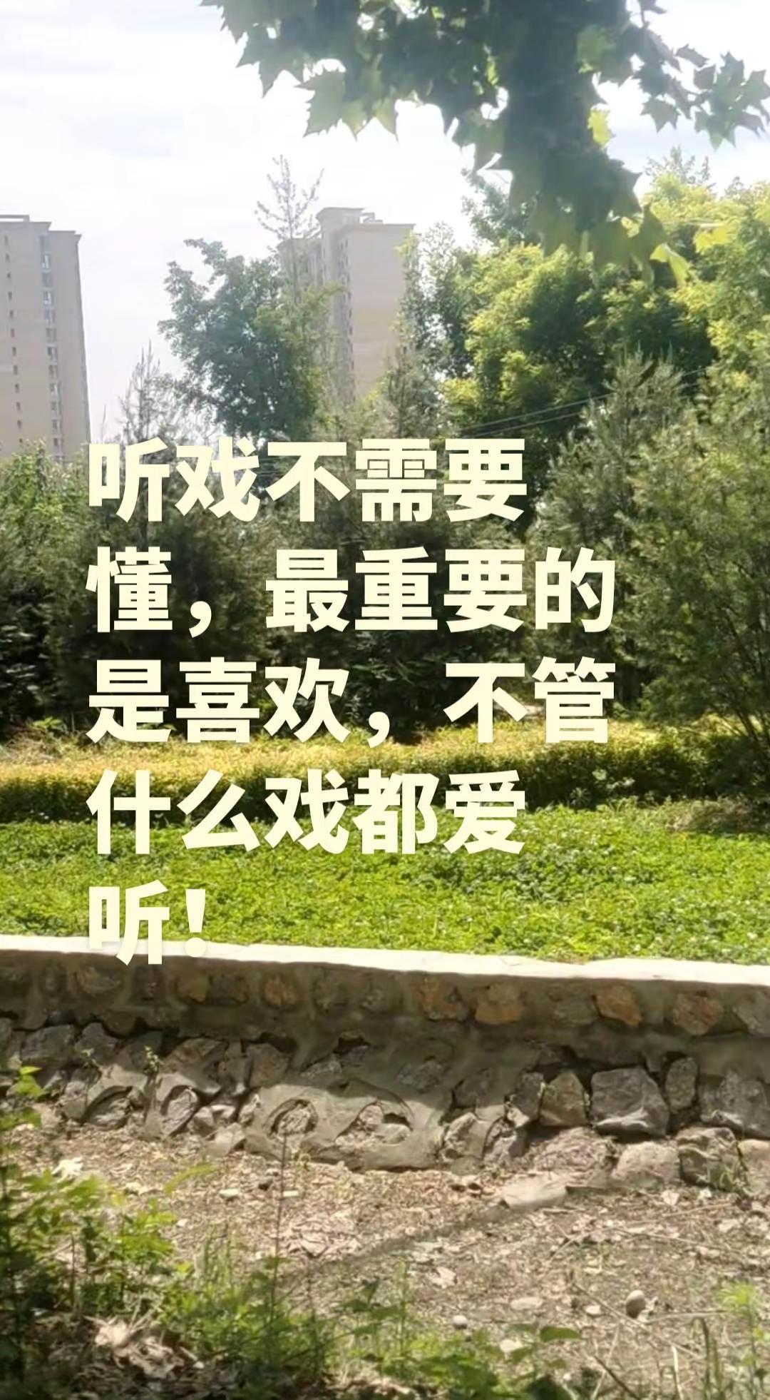 听戏不需要懂，最重要的是喜欢，你说对不对？京剧