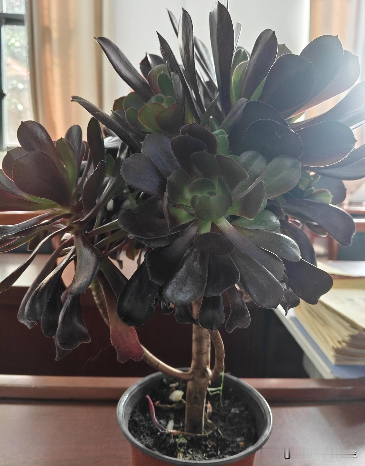 人到中年一切都要为健康让路

滚滚的财富，显赫的门弟，高官厚禄，与健康相比都是0