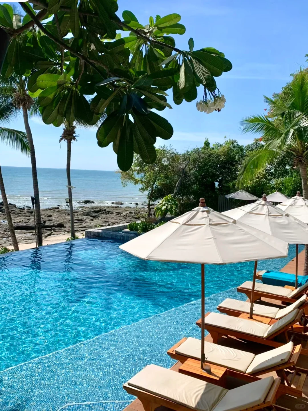 拜托🙏9-10月去陵水旅游的姐妹们听劝！