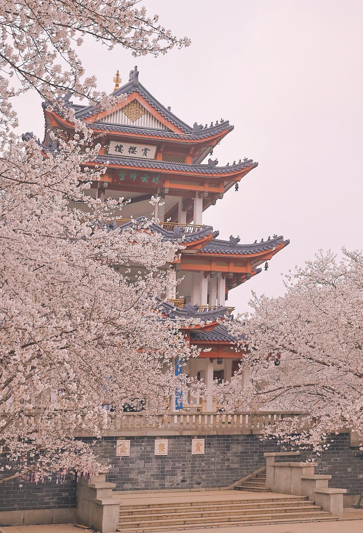 繁花似锦扮春天，
美丽风光入眼帘。
绿柳红桃好景色，
天堂就在你身边。