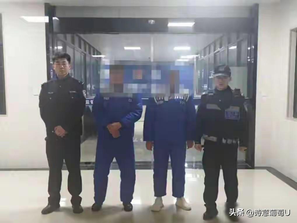 老楼三楼的灯大白天总亮着，民警暗中蹲守好几天，瞅准时机直接上门，悄无声息就把两个