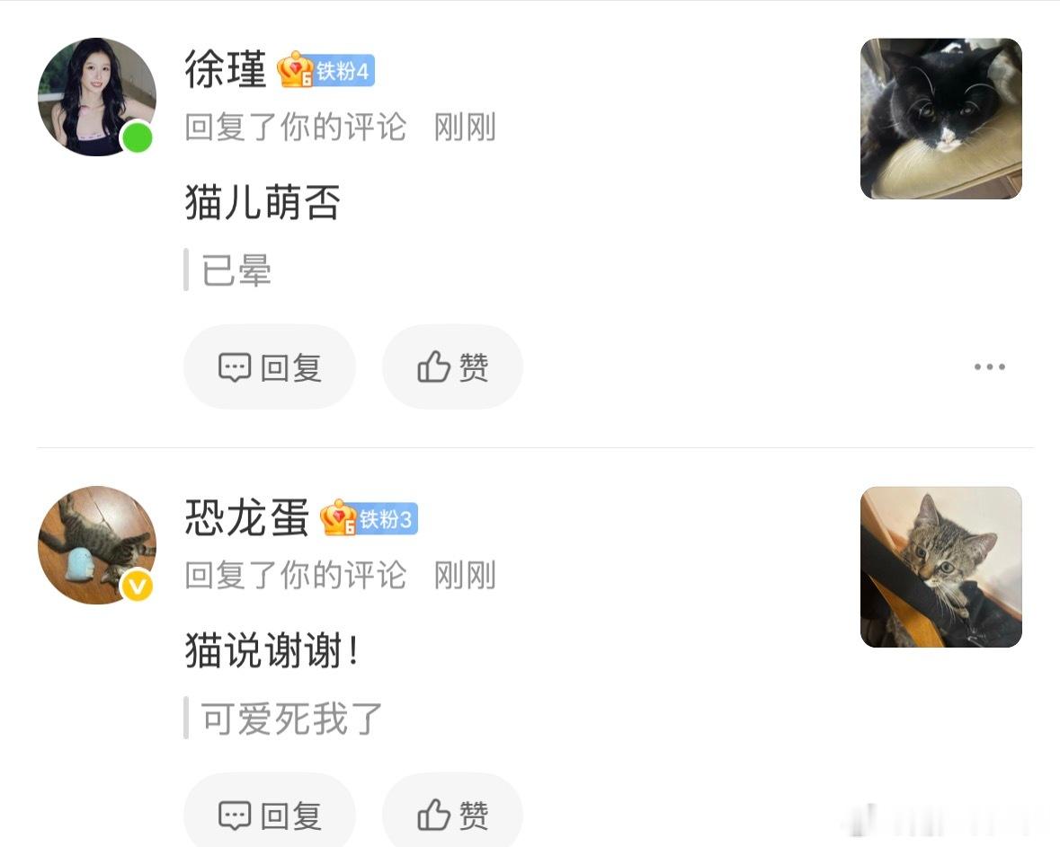 你们两个人休想用猫萌死我。