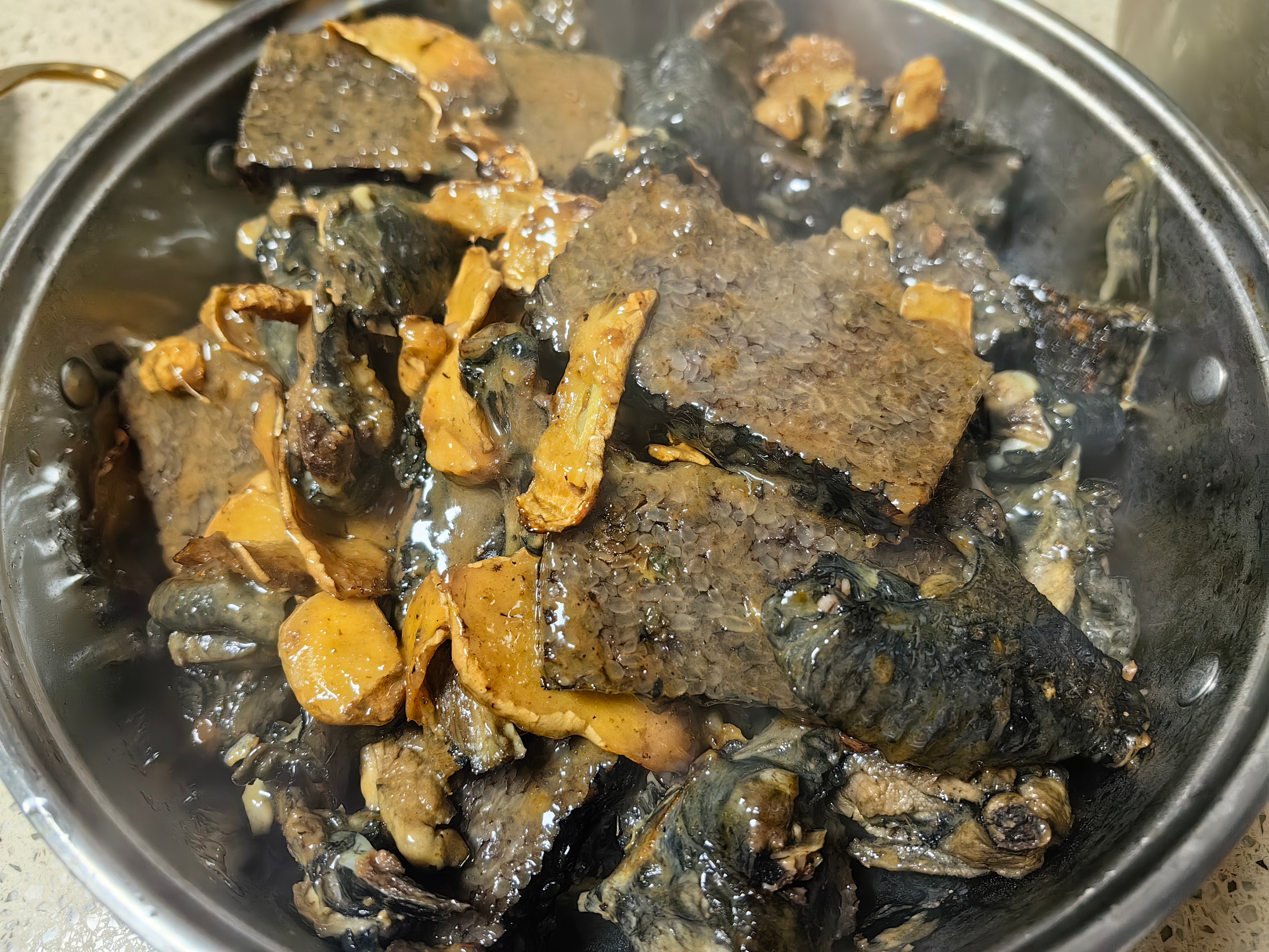 家常菜 鱼头豆腐汤，梅花肉，菜瓜油蛤，麻油乌鸡。 