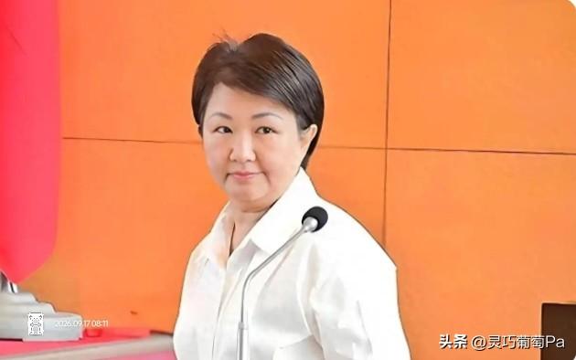 卢秀燕若在未来2028年胜选，这对大陆意味着什么？
基于其过往言论及近期动态，可