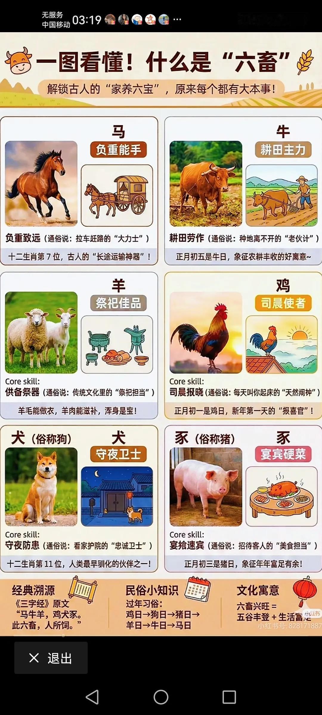 原来我们常说的六蓄指的是这几种

马   牛       羊  鸡     狗 