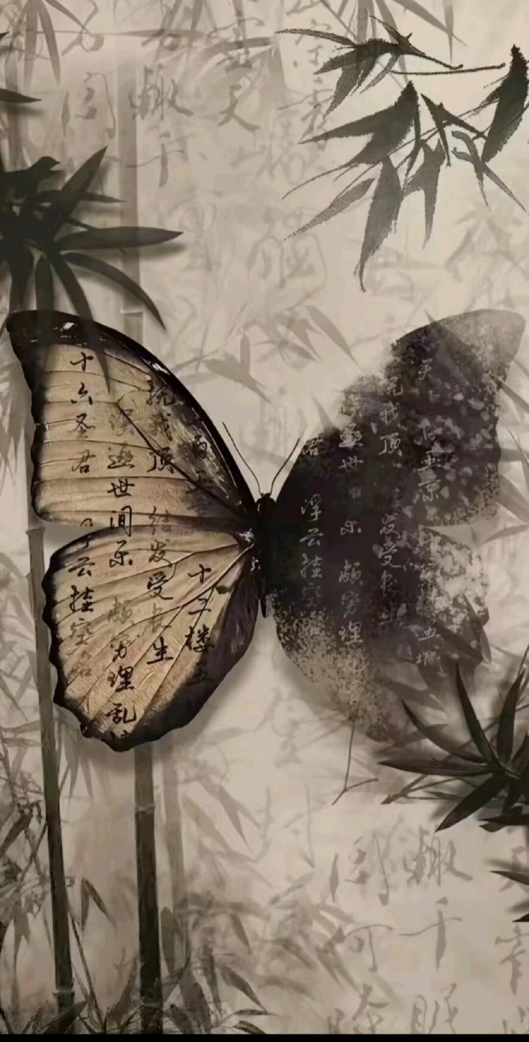 丰富一下中式古风壁纸吧 ‪.ᐟ‪.ᐟ 盛夏壁纸大放送动漫仲夏狂欢季
