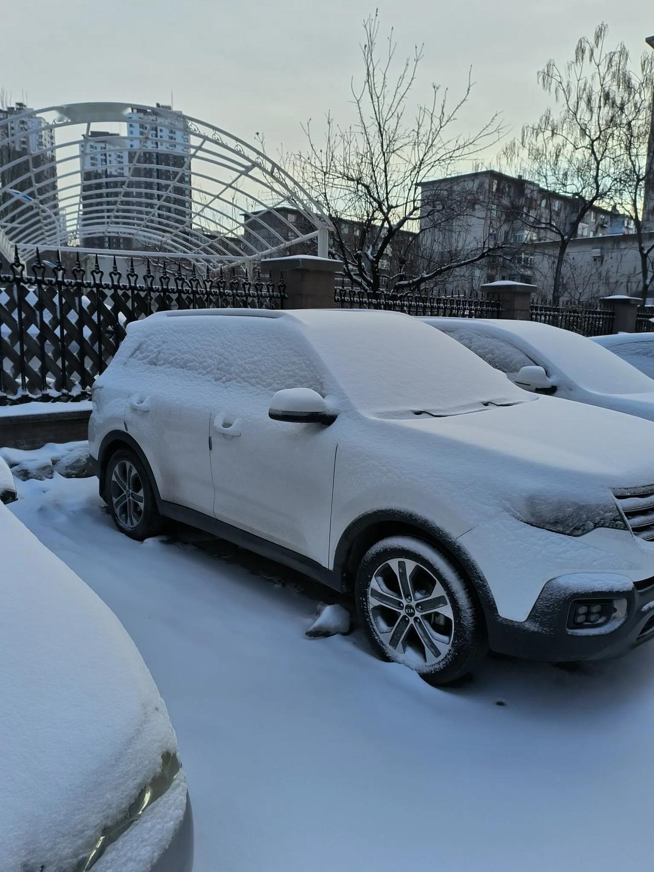 又一场雪，可恨的是好像是先下的雨后下的雪，不然车的挡风玻璃上怎么都是冰呢？