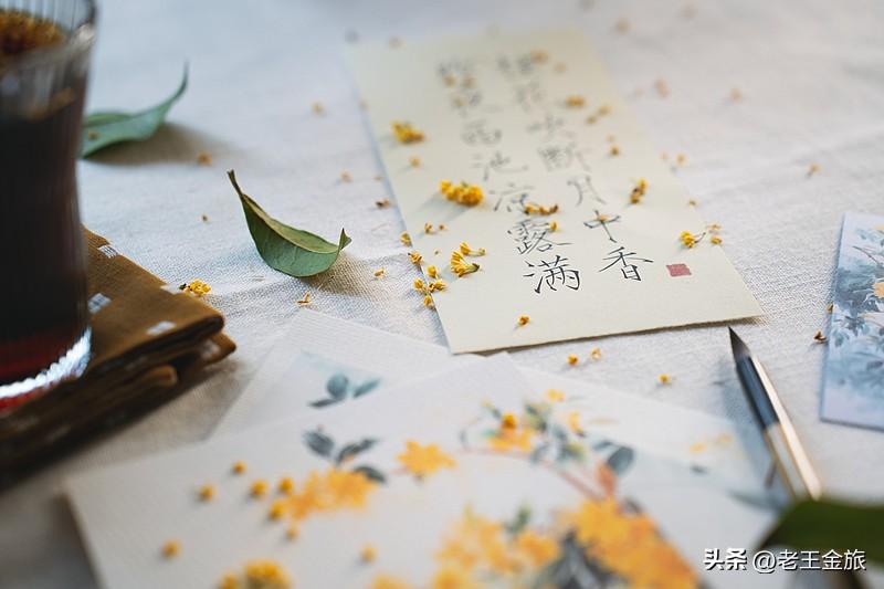 秋天的一件小事 早秋的风偷跑出来蹭过脸颊的时候，我才后知后觉反应过来夏天真的收尾