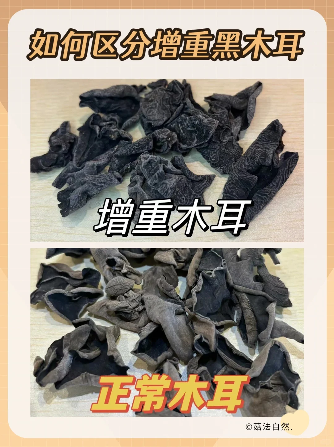 如何区分增重黑木耳❓