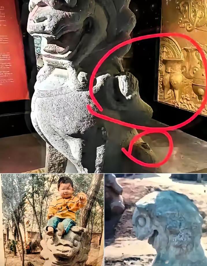 人证物证都有，这回百口莫辩了吧！​安徽一男子到徐州私人博物馆参观，发现一石狮子与