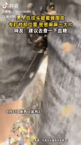 陕西，一男子清明节去上坟，万万没想到的是，一群蜜蜂飞来专盯他裆部位置，旁边的人赶