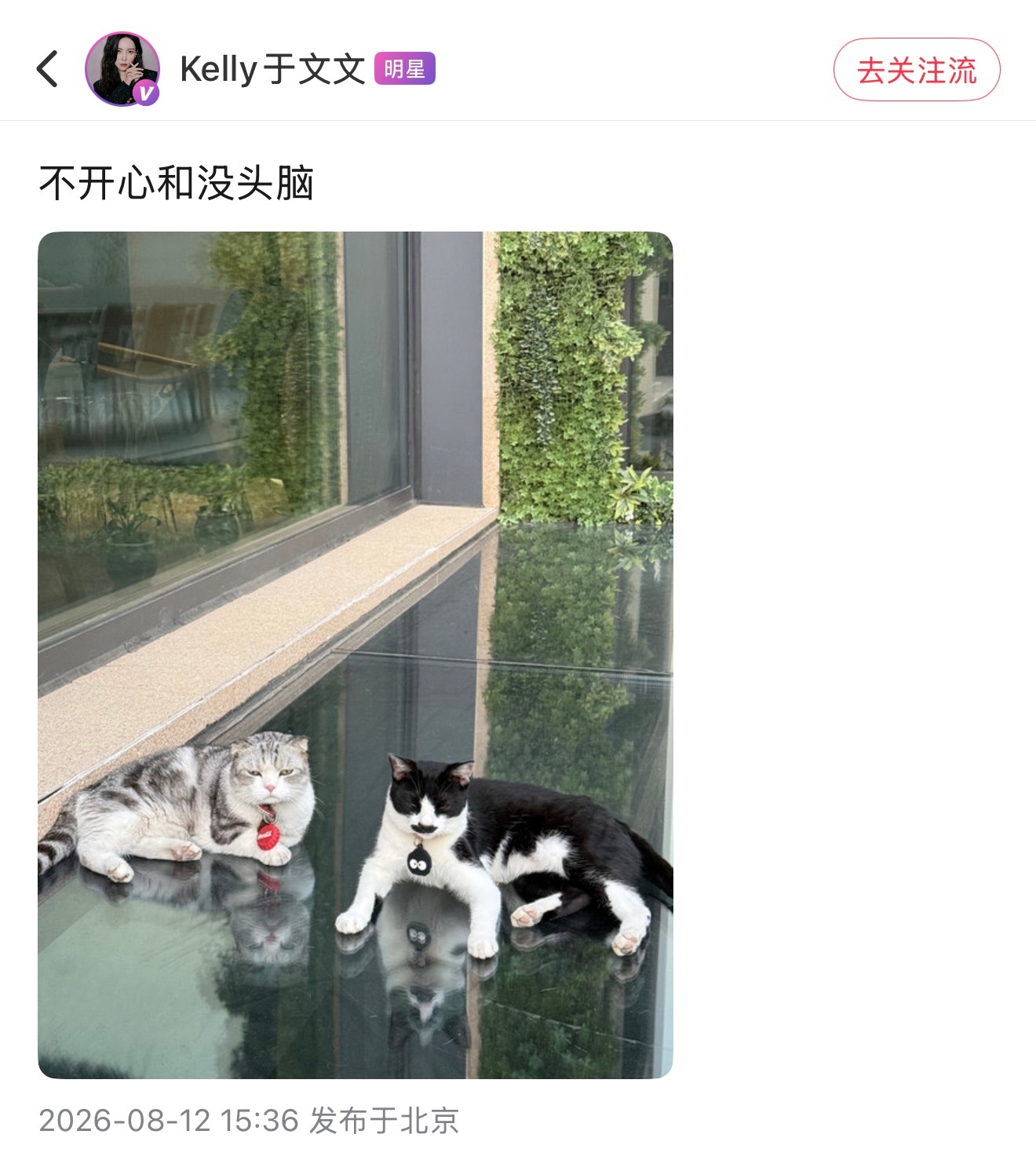 好久不见弟弟脖子上的小玩意好萌 (原来是AirTag保护套 猫手一个