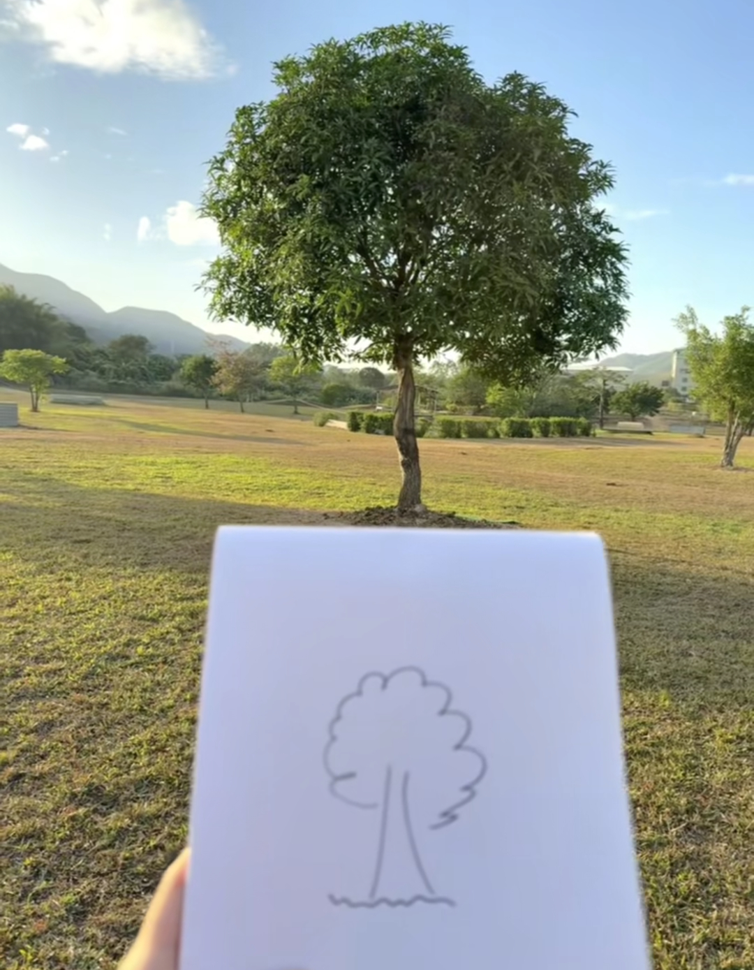 早说写生是这样的啊！ 