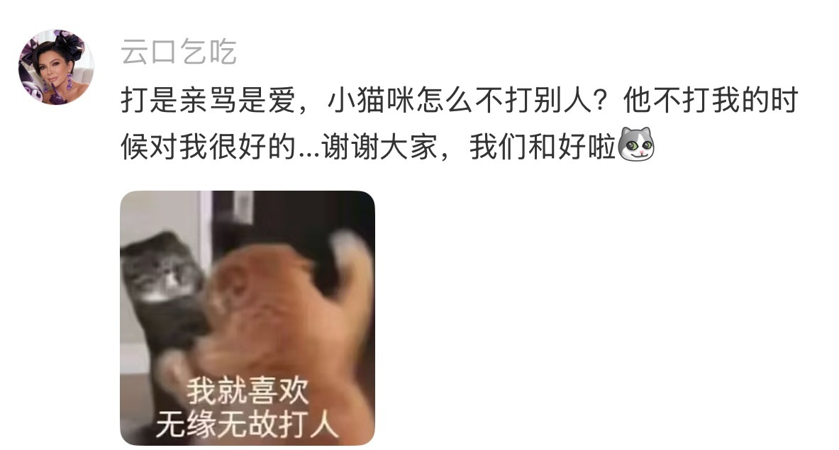 为什么小猫想打谁就打谁 