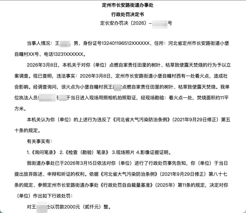 大爷烧了11平方米的枯树叶，结果被重罚了2000元！这消息曝光后，直接在网上炸开