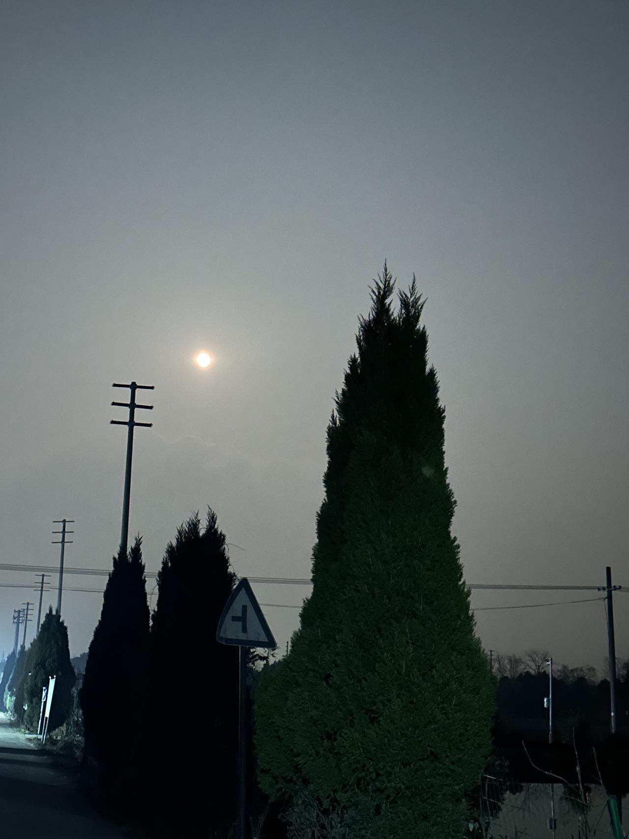 诗酒花茶陪唐霞