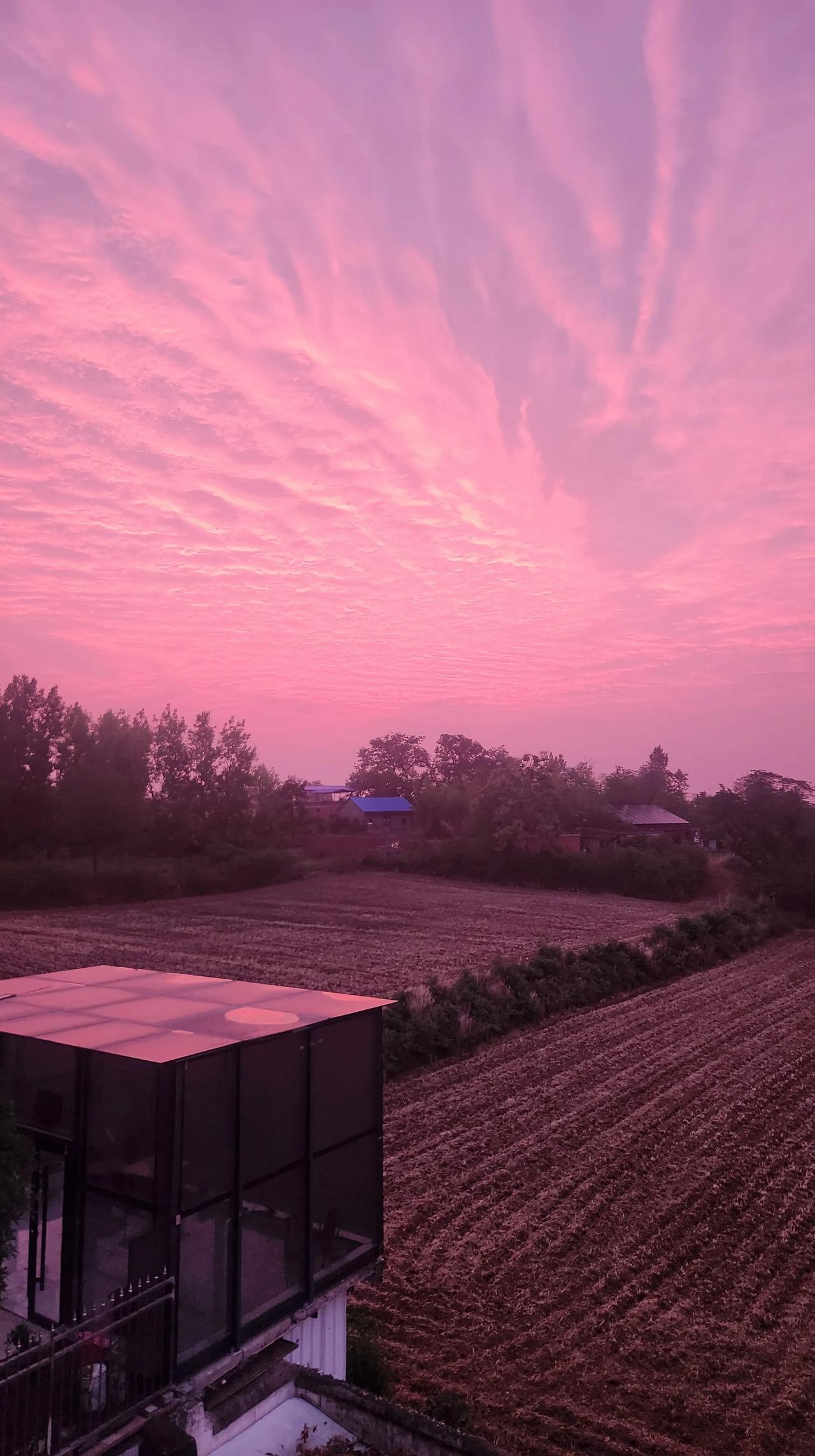 分享一张你随手拍的风光农村的清晨