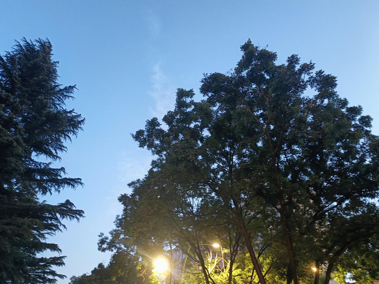 夜色漫上街头，灯火次第亮起，平凡的一天就此收尾。
身体抱恙之后，日子总觉疲惫，也