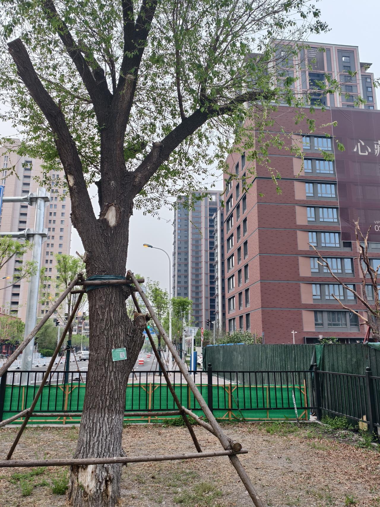 现在大家都喜欢拍照打卡，我觉得其实背后就是想记录个人的美好生活！