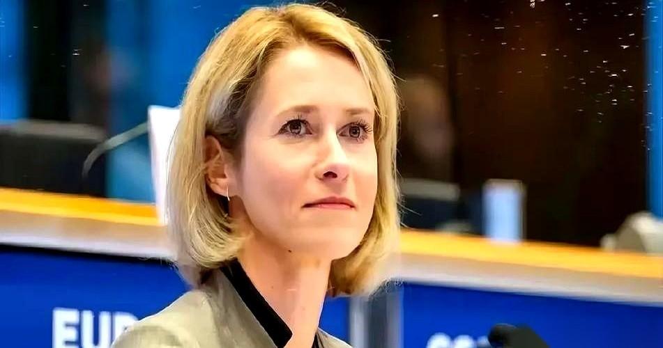 把大毛打疼？他就会乖乖回来谈判？
我听完差点笑出声。
这话听着真解气，跟吹牛不上