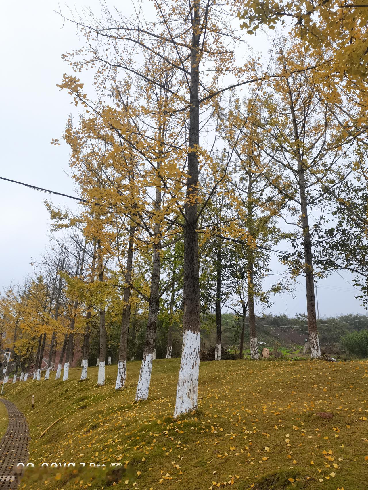 D早年做了10多年的教师，算是同行。他在其它部门时，我们同时参加了某个培训，时间