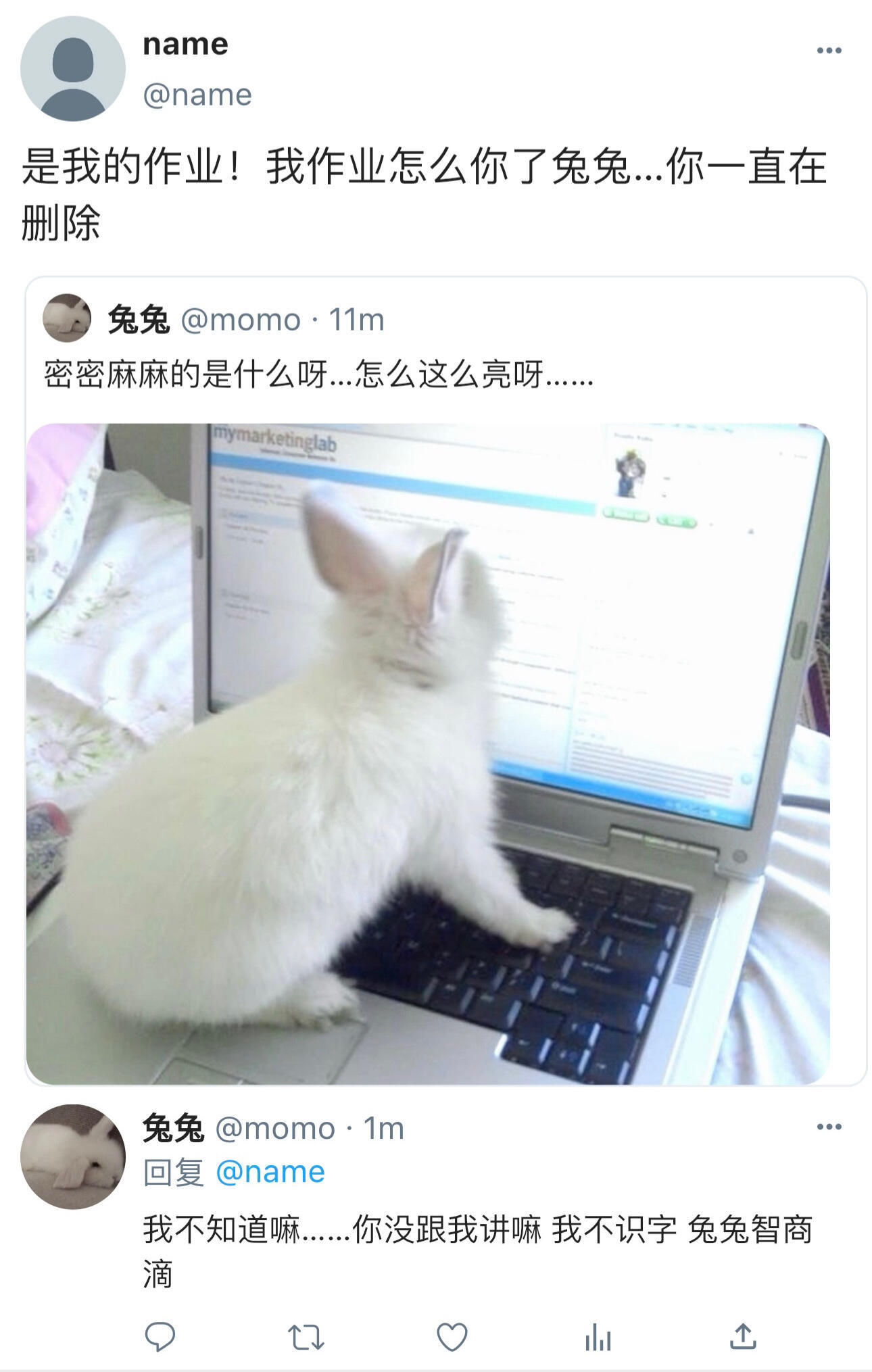 每日一兔，霖兔赛高[兔子] ​​​