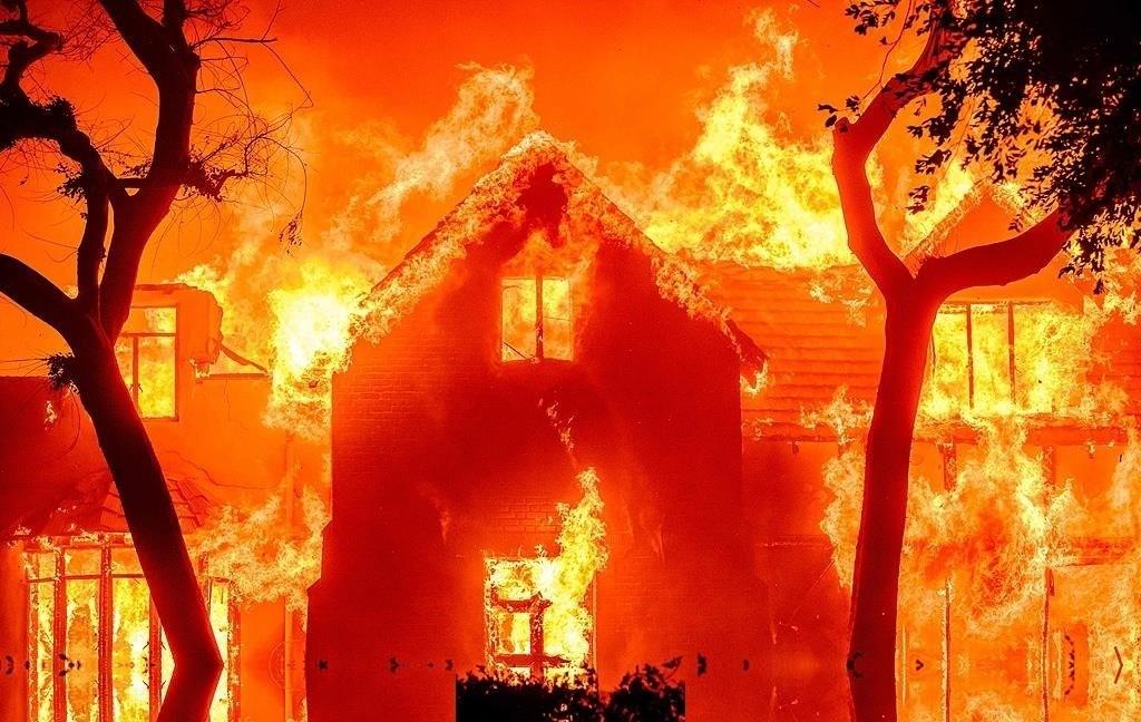 全球最大森林——亚马逊雨林着火了，大范围火灾正在森林中肆虐，火源正是人点燃的！不