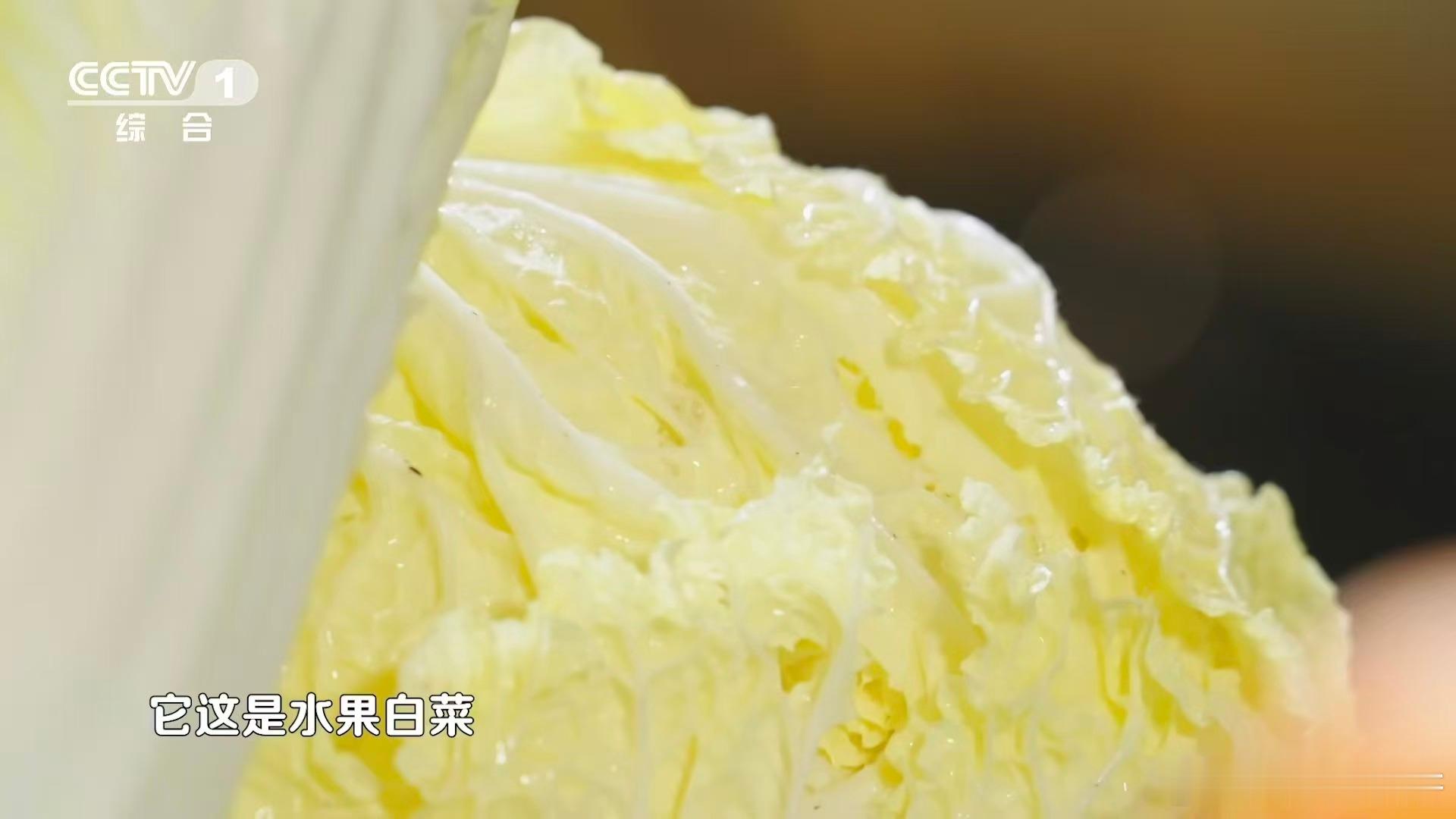 河南有种白菜甜到能当水果吃 苗桥白菜的甜是自然生长出来的，昼夜温差大让糖分锁在菜