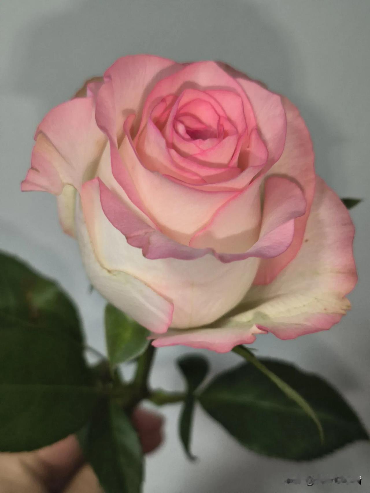 娶个老师做老婆也挺烦的

今天下午在家无聊，我采访了一下先生瘦哥：“如果有机会再