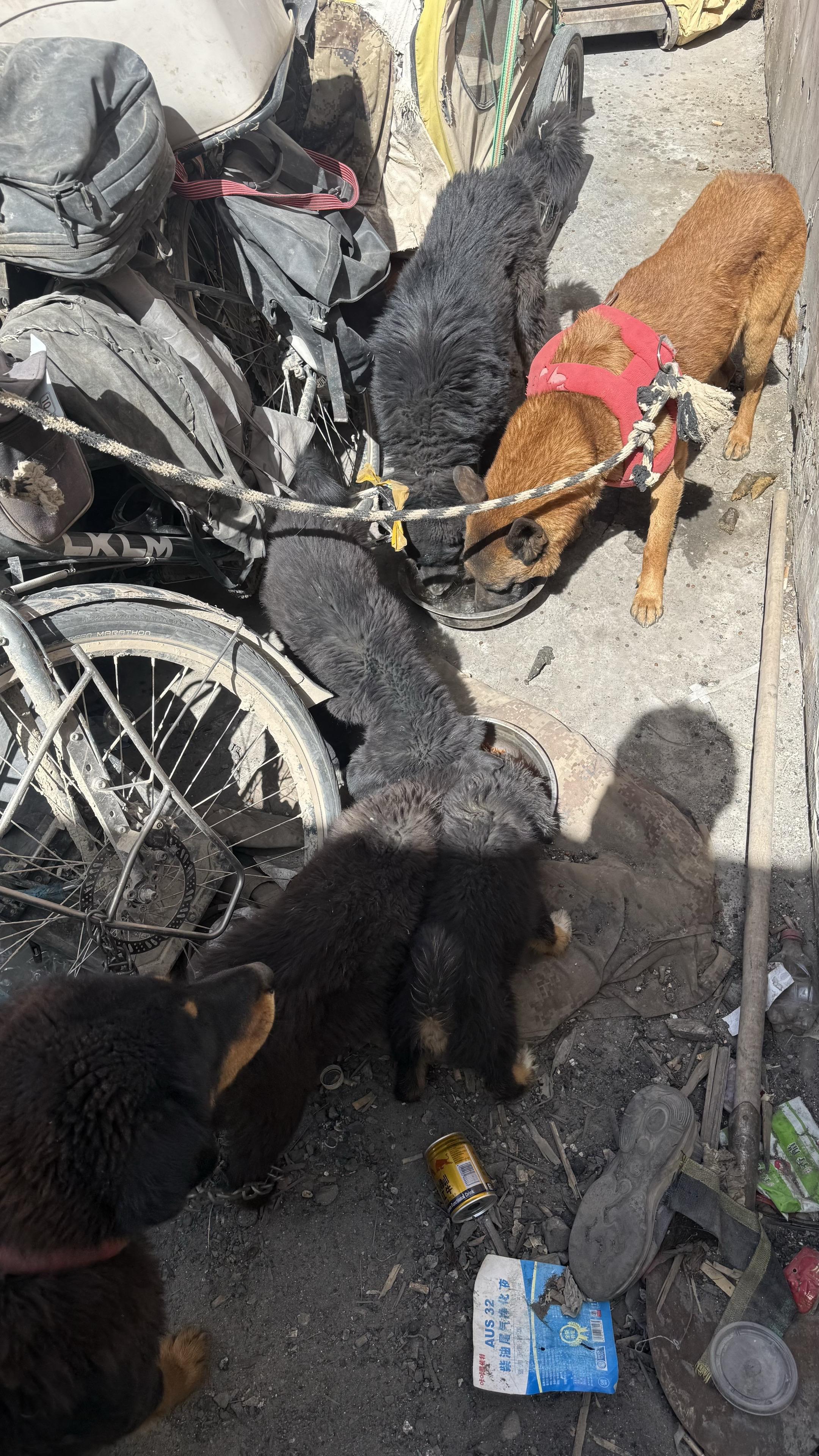 终于走完可可西里了