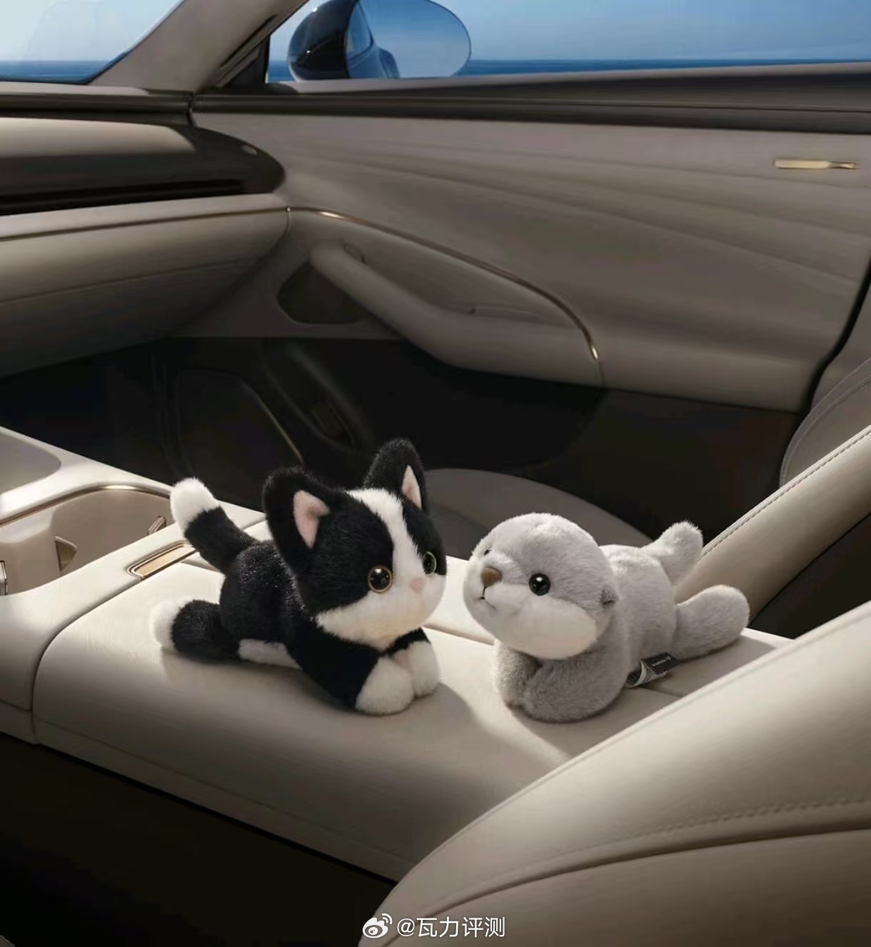 挨骂了  就因为发了个微博，结果没买到那两小只~~~~~  “你就不能先买再发吗