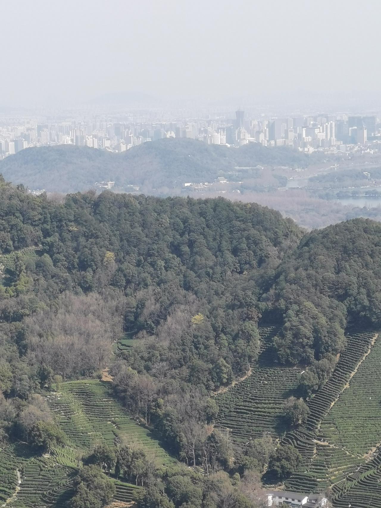 杭州爬山吸氧，俯瞰城市与茶园。
周末一家人去爬山，爬到山顶瞬间被治愈到！眼前是层